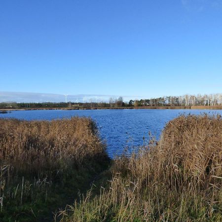 Passow  Uckermark "Ferienwohnung Sommerfugl " מראה חיצוני תמונה