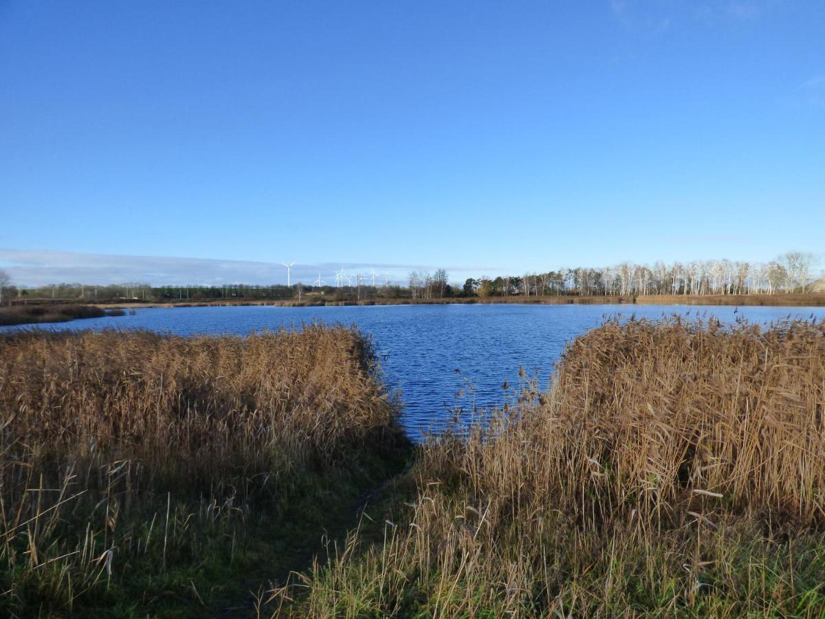 Passow  Uckermark "Ferienwohnung Sommerfugl " מראה חיצוני תמונה