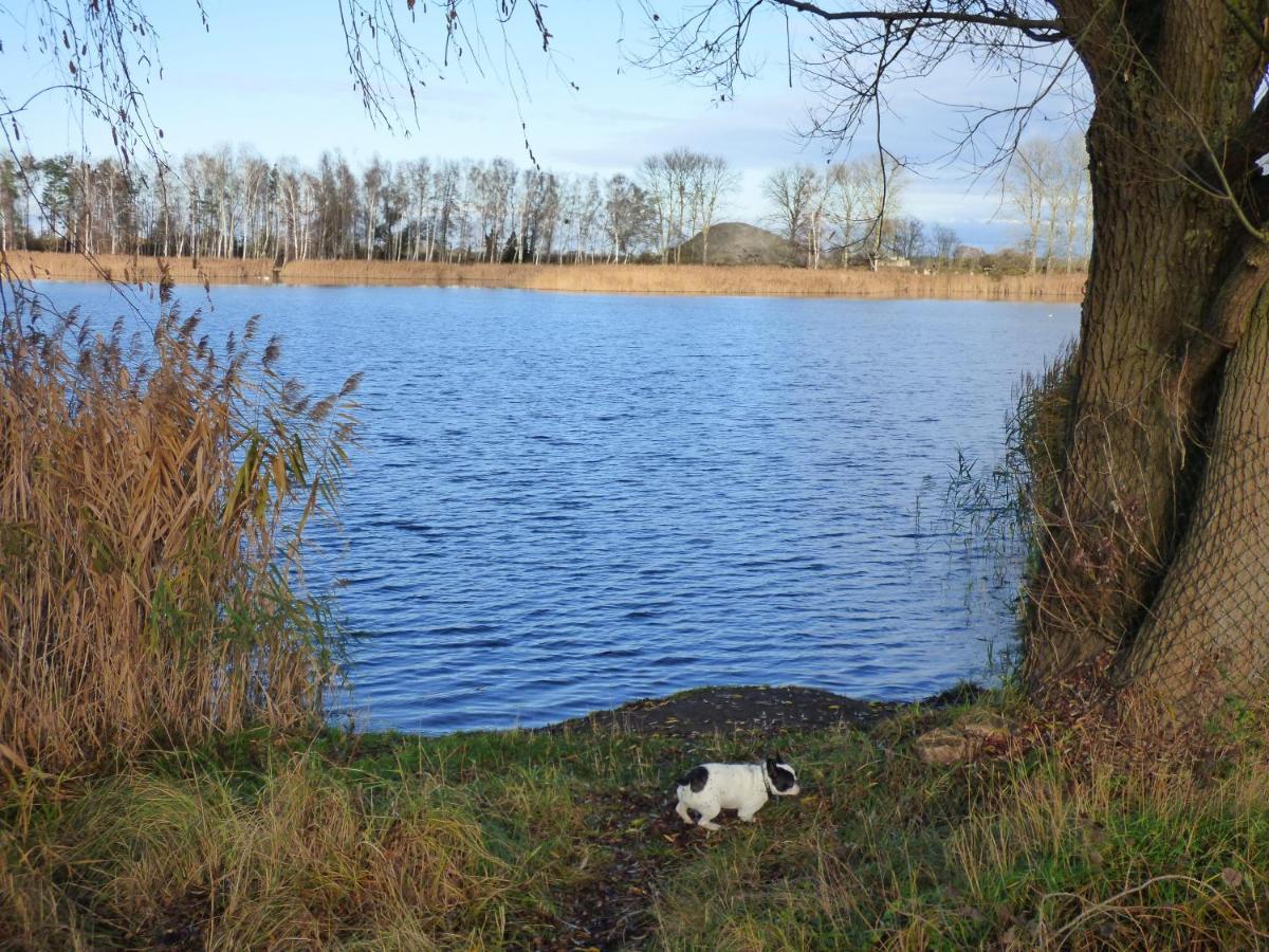Passow  Uckermark "Ferienwohnung Sommerfugl " מראה חיצוני תמונה