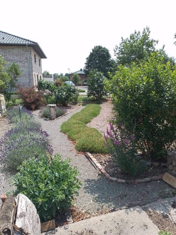 Passow  Uckermark "Ferienwohnung Sommerfugl " מראה חיצוני תמונה